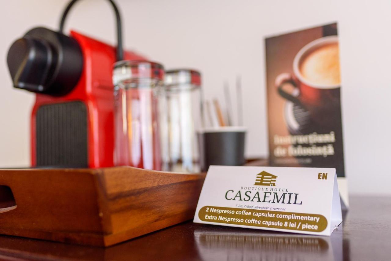 Boutique Hotel Casa Emil ポイアナ・ブラショフ エクステリア 写真