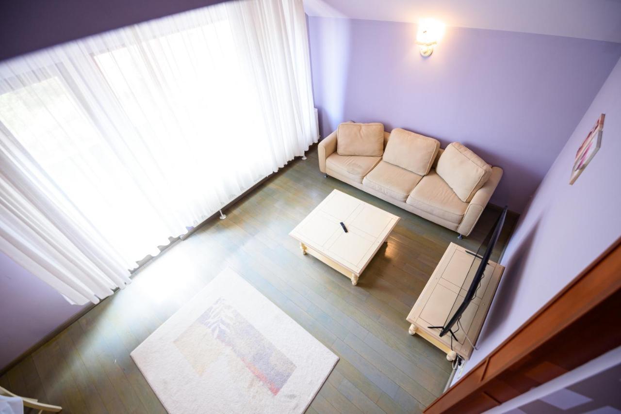 Boutique Hotel Casa Emil ポイアナ・ブラショフ エクステリア 写真