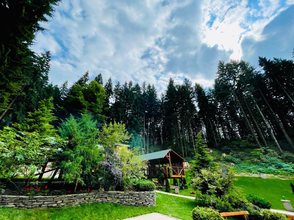 Boutique Hotel Casa Emil ポイアナ・ブラショフ エクステリア 写真