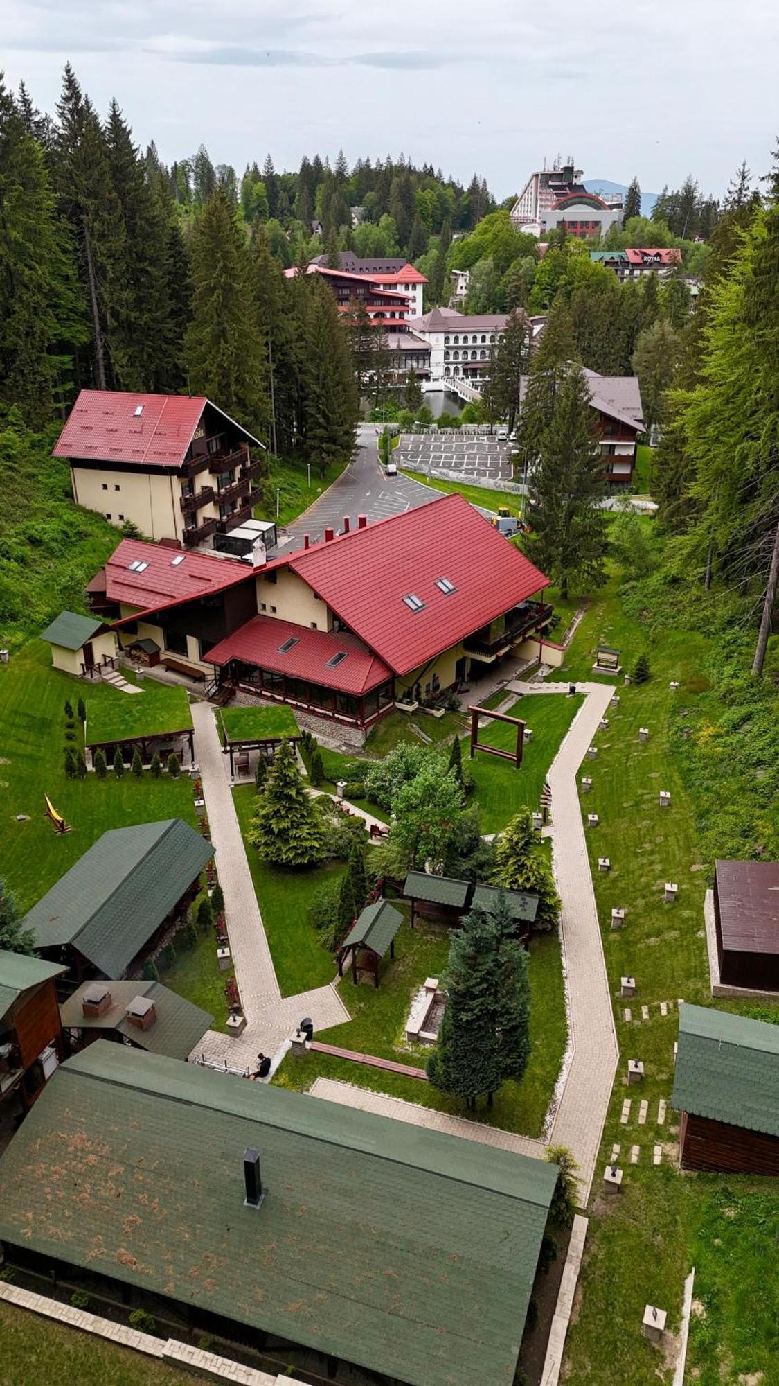 Boutique Hotel Casa Emil ポイアナ・ブラショフ エクステリア 写真