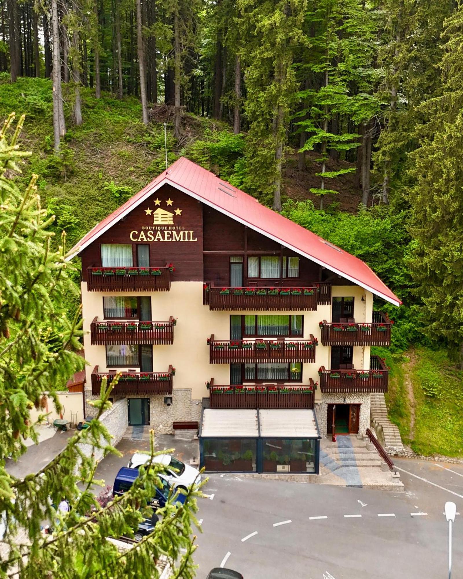 Boutique Hotel Casa Emil ポイアナ・ブラショフ エクステリア 写真
